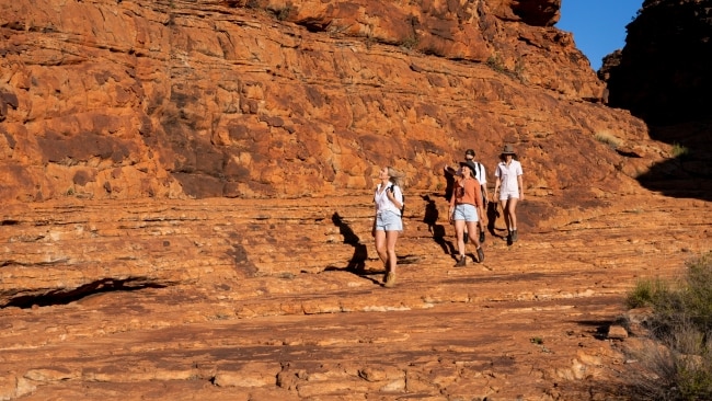 are dogs allowed in national parks in australia