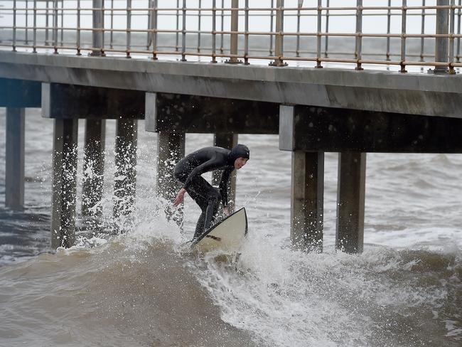 A lone surfer enjoys the big swells at Brighton. Picture: Naomi Jellicoe