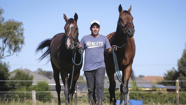 Trainer Gavin Bedggood with his horses Maldonado (left) and My Dancing Duel, who he hopes to run in the Balnarring Cup on Australia Day. Picture by Wayne Taylor