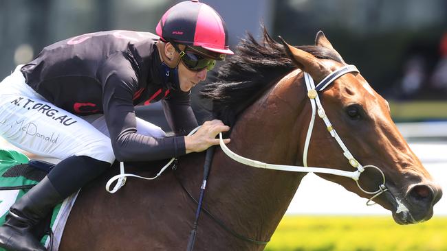 SYDNEY, AUSTRALIA - DECEMBER 26: James McDonald on Pinnacle Prince wins race 2 the TAB Highway Class 3 Handicap during Sydney Racing at Royal Randwick Racecourse on December 26, 2020 in Sydney, Australia. (Photo by Mark Evans/Getty Images)