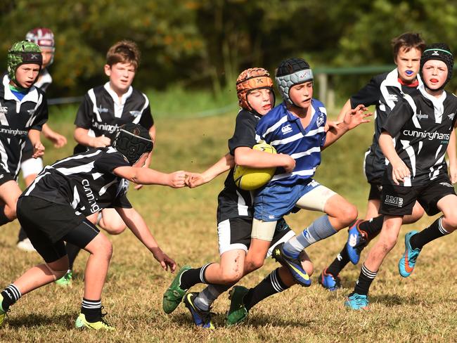 Under 11's Seaforth Raiders, with the ball, take on the Newport Dolphins at Newport Rugby Oval. Local rugby officials are hoping for a couple of more games this season. Picture: Supplied