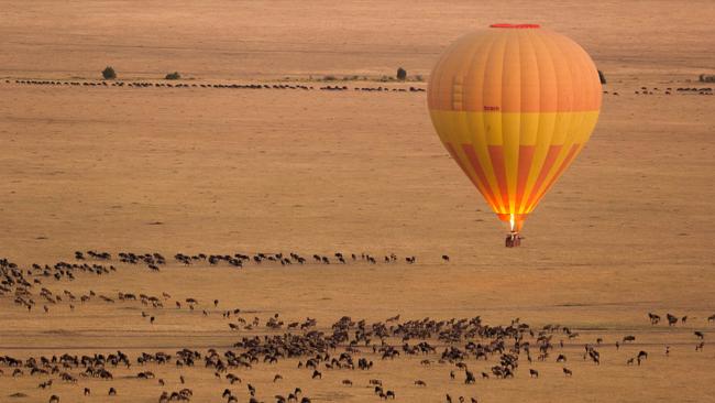 Hot air balloons over the African plains.