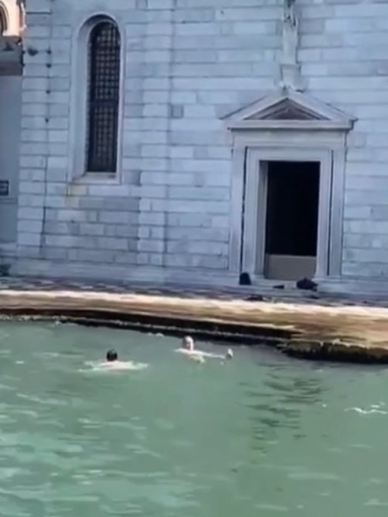 The tourists were spotted by commuters on a water bus. Picture: Jam Press