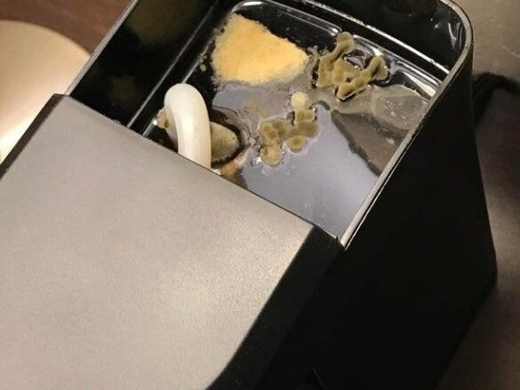 A hotel guest was disgusted to find mould and fungus in his coffee machine. Picture: Reddit