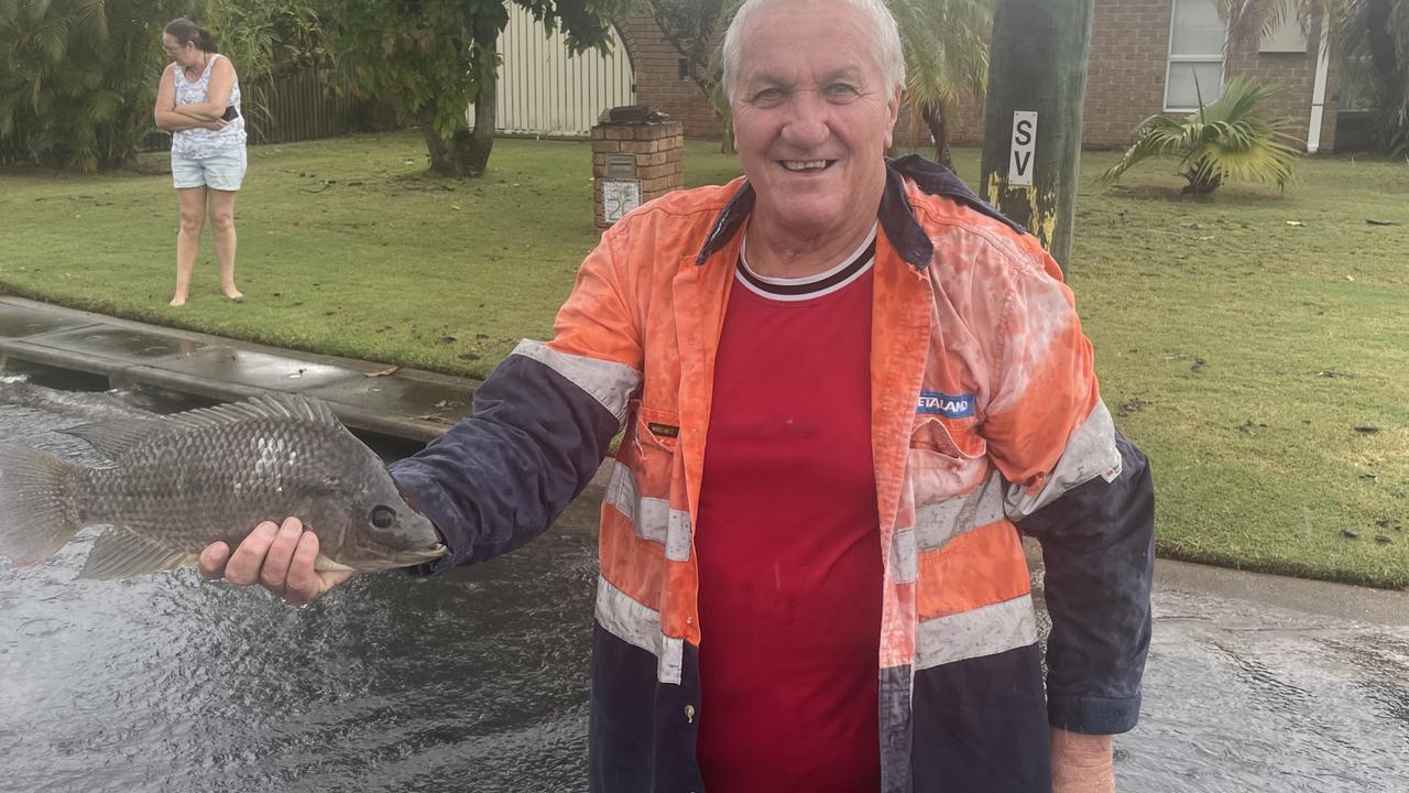 Alastair Nicol holds the fish he caught out of a flooded drain in Hervey Bay. Picture: Phillip Fynes-Clinton