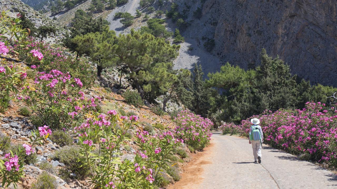 Don’t count out grey nomads for getting in on the trend. Picture: Getty Images