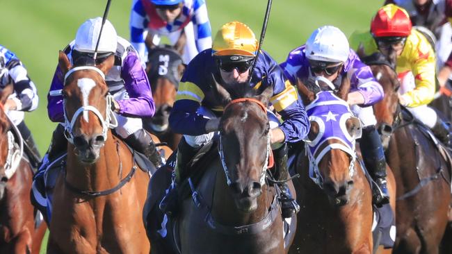 Tommy Berry was full of praise for Mount Popa after his impressive win at Randwick. Picture: AAP