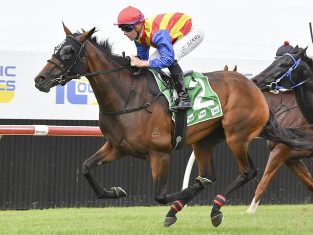 Private Legacy was impressive winning at Kembla last start and returns for the Kembla Grange Classic on Friday. Picture: