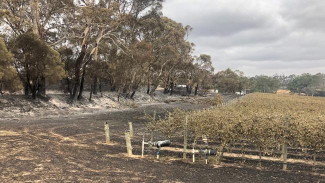 Simon Tolley Wines after the Cudlee Creek bushfire tore through the Woodside property. Source: Simon Tolley Wines