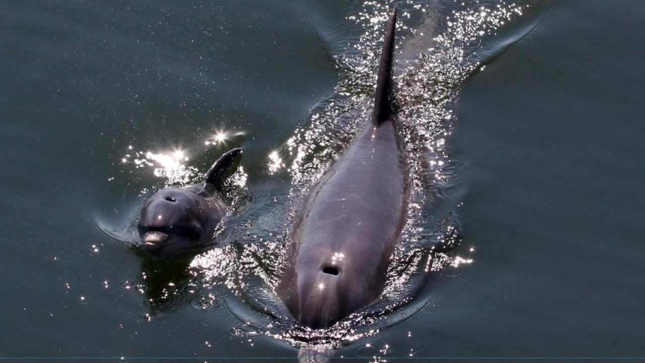 Tiffany and her baby, Summer. Picture: MARIANNA BOORMAN