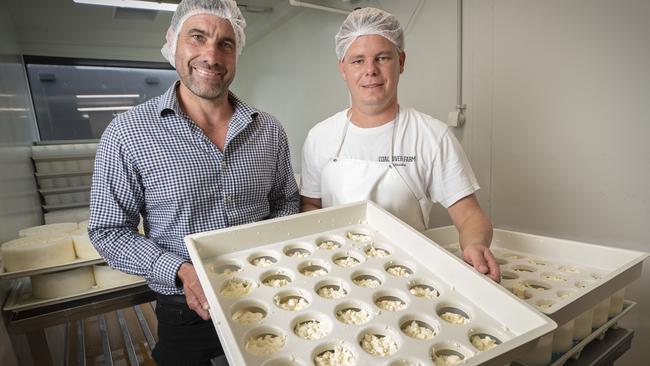 Coal River farm co founder Daniel Leesong and head cheese maker Tim Gadischke making feta cheese. Picture: Chris Kidd