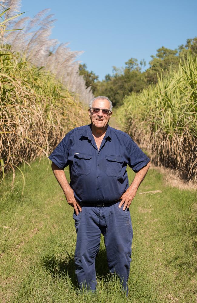 Canegrowers Queensland chairman Paul Schembri. Picture: Contributed