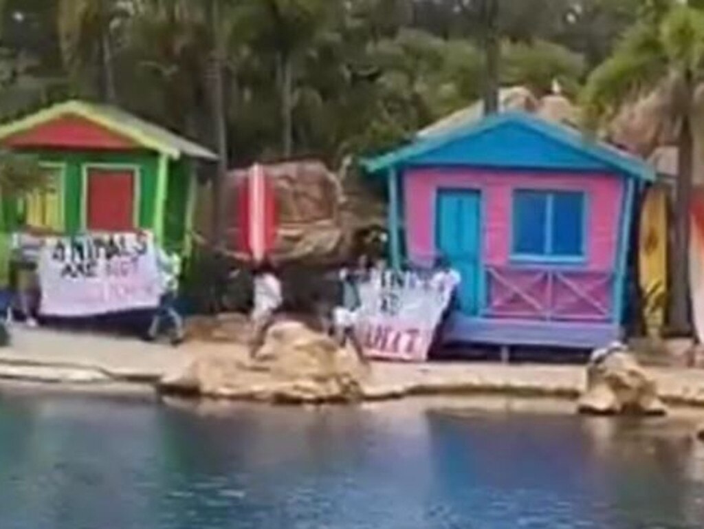 The group also managed to make their way to the back of the dolphin show at Sea World.