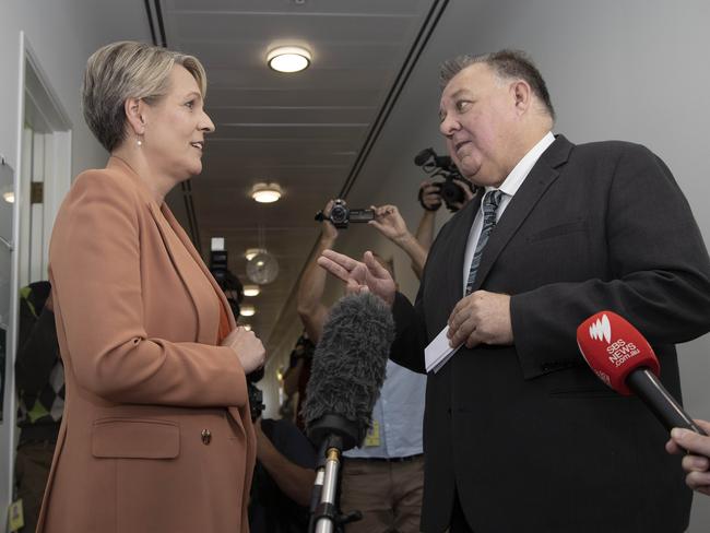 Tanya Plibersek and Craig Kelly went toe to toe in the corridors of the National Press Gallery last week. Picture: NCA NewsWire / Gary Ramage