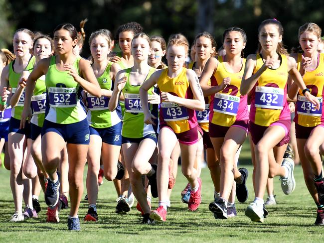 The QGSSSA cross country event in Daisy Hill.Saturday June 4, 2022. Picture, John Gass