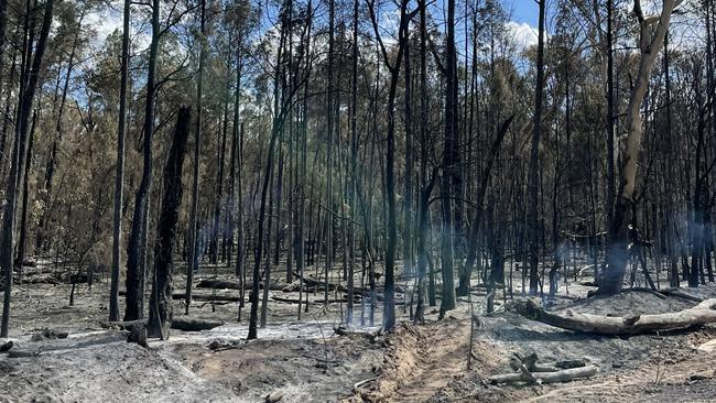 Bushland completely burnt along Billabong Lane, Tara. February 15, 2023. Picture: Emily Devon