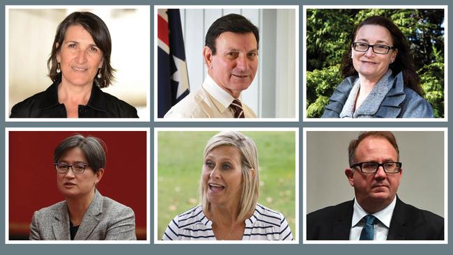 Labor politicians facing citizenship questions: Maria Vamvakinou, Tony Zappia, Justine Keay, Penny Wong, Susan Lamb and David Feeney.