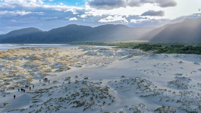 Among the dunes at Martins Bay, Hollyford Track.
