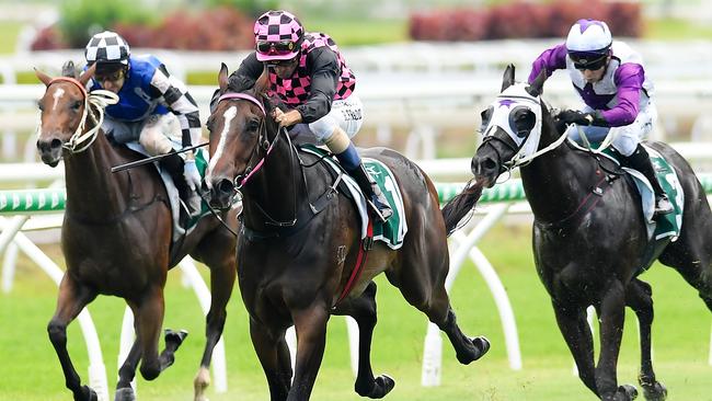 Rothfire would not be out of place in the Golden Slipper. Picture: AAP