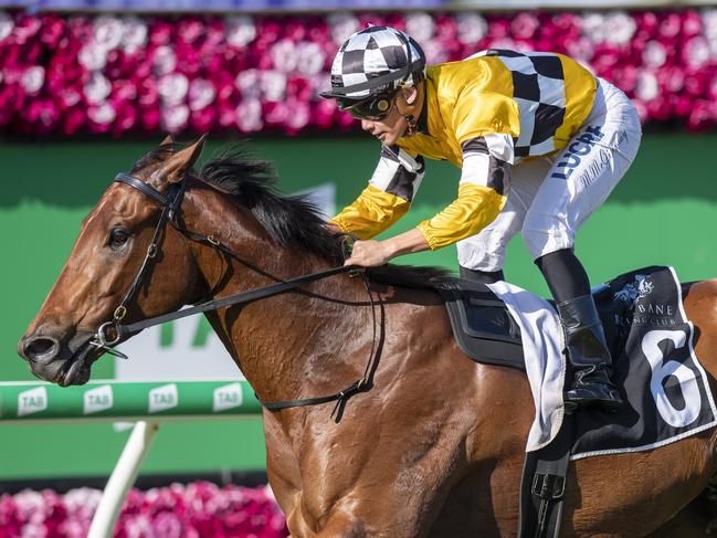 Jockey Matthew McGillivray rides Tambo's Mate to victory in race 8, the Class 6 Plate, during Suez Cox Plate Day at Eagle Farm Racecourse, Brisbane, Saturday, October 26, 2019.