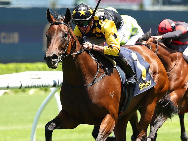 SYDNEY, AUSTRALIA - JANUARY 06: Nash Rawiller riding  Terra Mater wins Race 4 Bisley Workwear during Sydney Racing at Royal Randwick Racecourse on January 06, 2024 in Sydney, Australia. (Photo by Jeremy Ng/Getty Images)