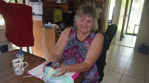 Barb Adamson was a dedicated member of Fauna Rescue Whitsundays. Picture: File