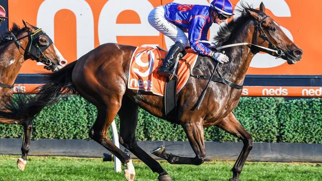 Ayrton wins the Victoria Handicap at Caulfield. Picture: Brett Holburt–Racing Photos via Getty Images