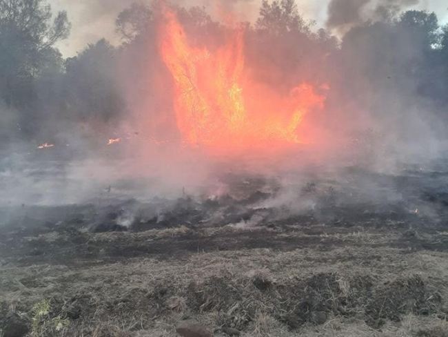 A view of a fire near Kingaroy on Sunday. Picture: Brooklands Rural Fire Brigade/Facebook