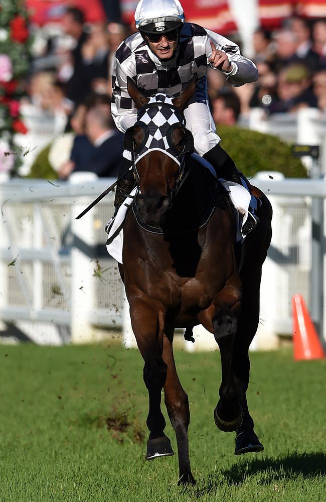 Damian Brown raises his finger as Miss Cover Girl wins the Group 1 Tattersall's Club Tiara last Saturday. Picture: AAP