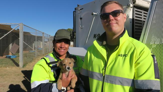 Alice Springs Town council ranger Charlotte Bryers and ranger manager Luke Allen. The Alice Springs Animal Shelter entered administration on July 16, with the Alice Springs Town Council taking over operations as of July 17, 2024, for the interim. Picture: Gera Kazakov.