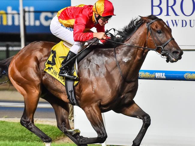 Malaguerra wins the Group 2 Australia Stakes at the same track and distance. Picture: Getty Images