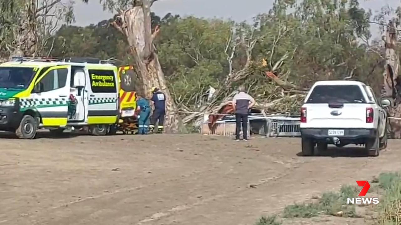 The houseboat was their home for 23 years. Picture: 7NEWS