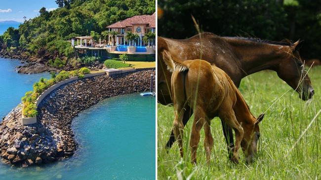 rides to be could soon have two more picturesque options of where to walk down the aisle in tropical North Queensland.