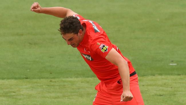 Peter Hatzoglou is one of BBL10’s best stories. Picture: Getty Images