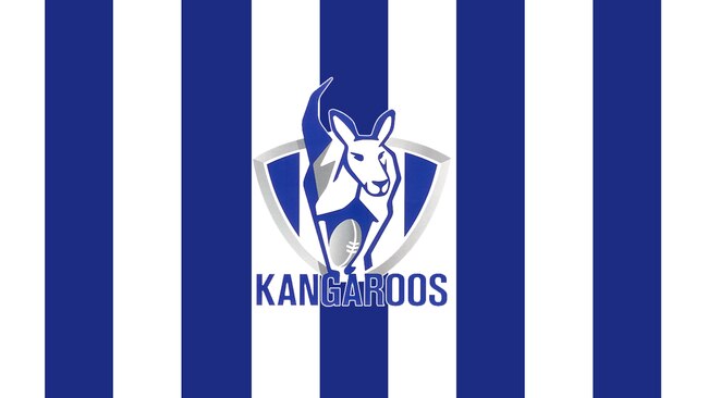 Moorabbin Kangaroos F C logo