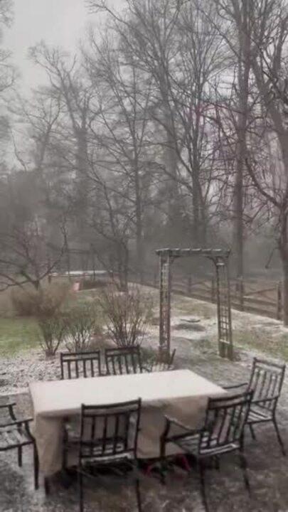 Thundersnow Reported in Alexandria as Storm Hits Washington Metropolitan Area