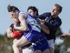 Berwick Springs sign 207cm ruckman