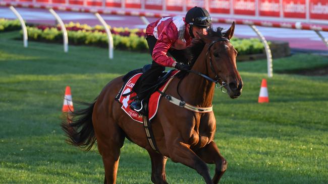 Arcadia Queen is ready to fire in the Mackinnon Stakes. Picture: Getty Images