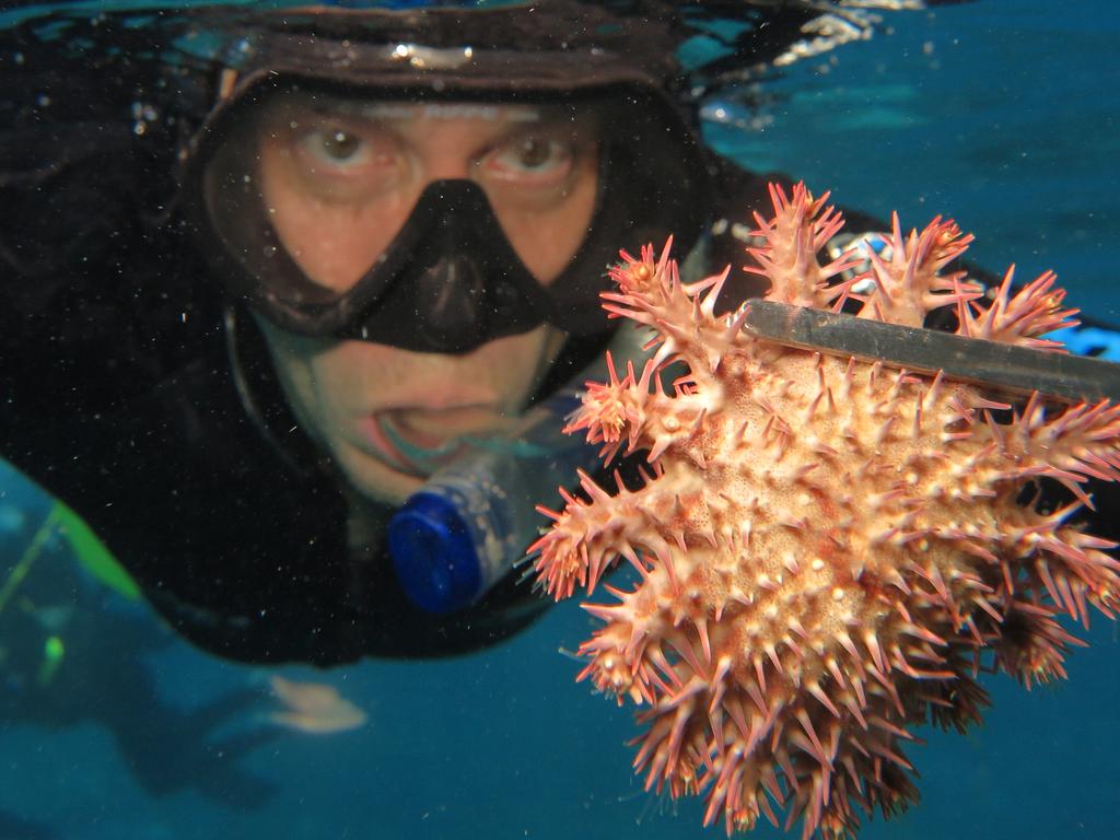 Experimental Scientist with the Australian Institute of Marine Science Jason Doyle with a Crown of Thorns starfish (COTS) on Moore Reef, part of the Great Barrier Reef Marine Park, off the coast of Cairns. Picture: Brendan Radke