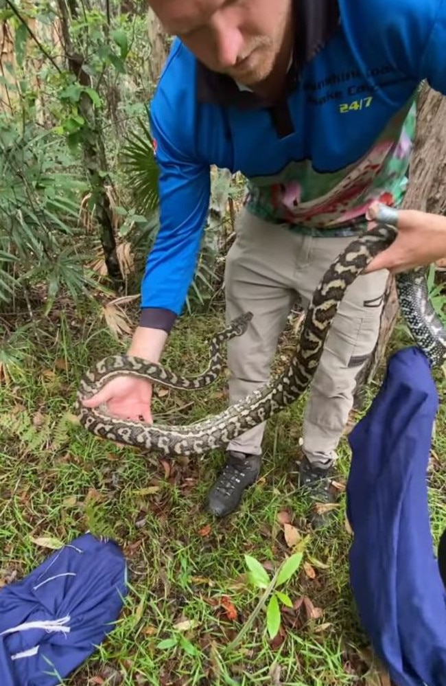 He relocated the snake to bushland. Picture: Storyful