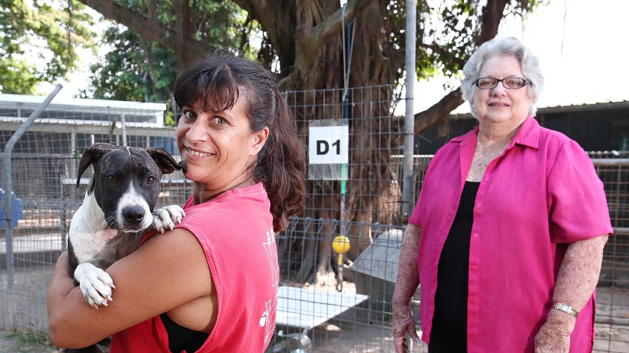 YAPS: State Labor pledges $1m to assist with Cairns animal welfare ...