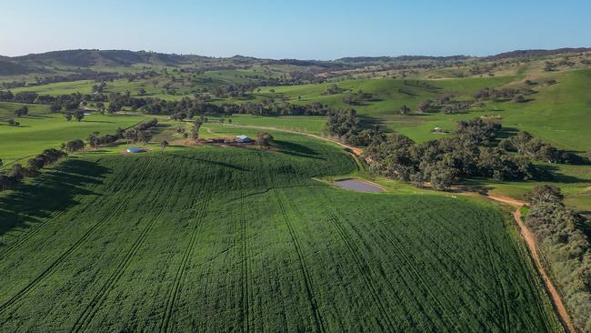 Ben and Narelle Robilliard are selling the 1785ha Matta Mia property at Pulletop, NSW.