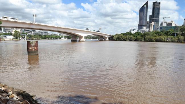 Dead fish on the bank of the Brisbane River at Kangaroo Point. Picture: Liam Kidston