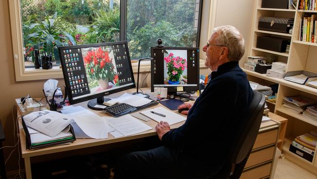 Gardening guru Jon Lamb pictured in his home office, overlooking his courtyard garden. Picture Matt Turner.