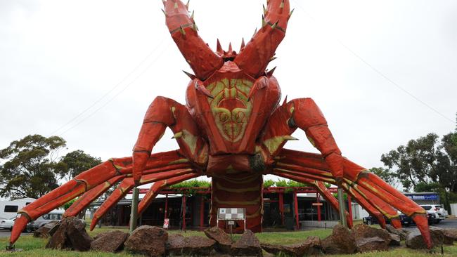 Larry the Lobster at Kingston SE. Picture: Tricia Watkinson