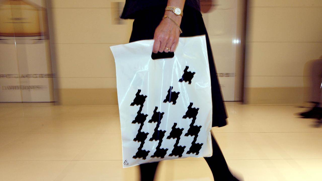 David jones store shopping bag