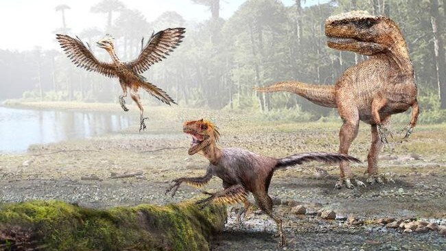 The teenage Tyrannosaurus rex, centre. Illustration: Science Advances