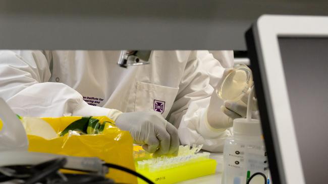 University of Queensland scientists have received government funds to develop a vaccine.