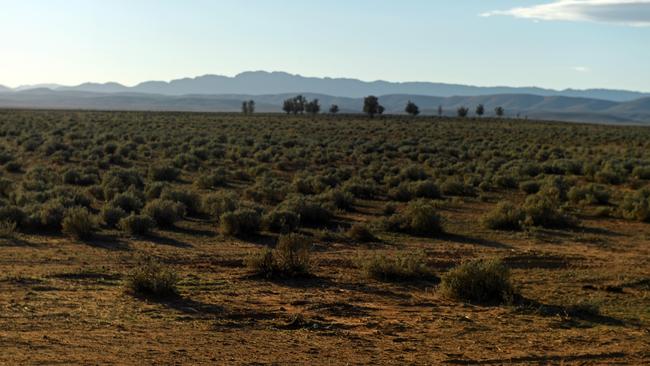 The proposed site of the nuclear waste facility on Wallerberdina Station, near Hawker. Picture: Tom Huntley