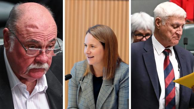 Warren Entsch, Nita Green and Bob Katter are effectively the Far North's "Voices" to parliament on Indigenous issues, failing the referendum.